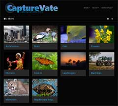 CaptureVate Photography